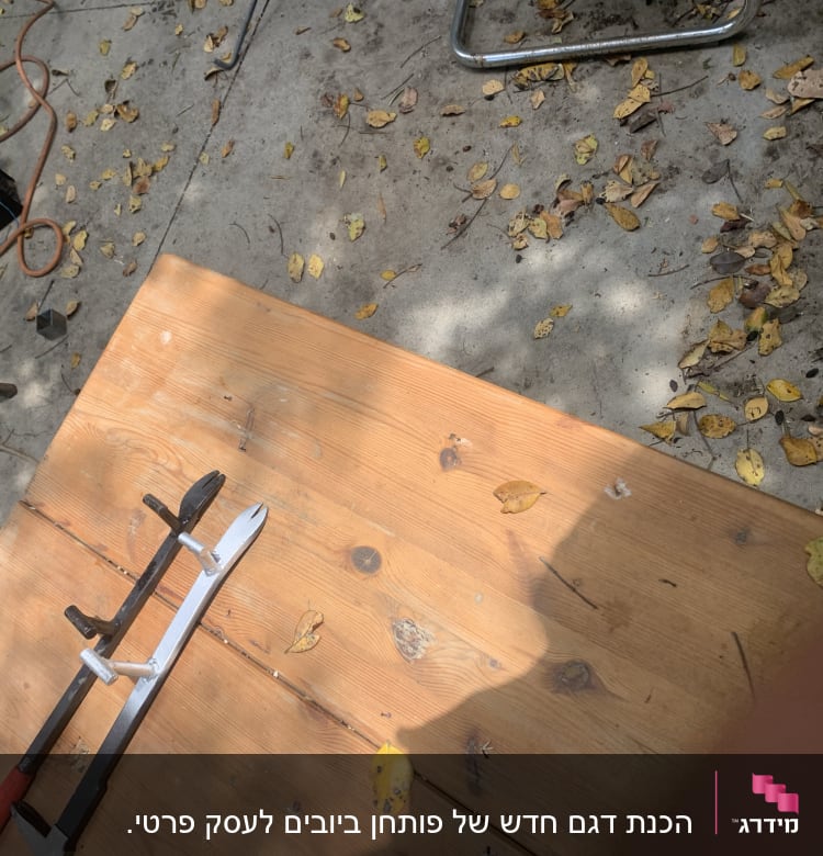 מסגרת מתכת על שולחן עץ עם עלים מסביב